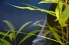 20170308HHNeon01.jpg