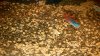 DSC_0194-min.JPG