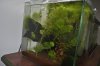 _DSC0084 - Kopie.JPG