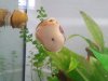 WhatsApp Image 2017-06-30 at 16.42.58.jpeg