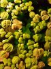 20170924_153758.jpg