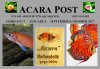 Acara-Post-Bild-Sept.-Okt.2017.jpg