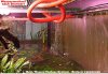 Wasserwechsel-.jpg