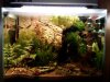 20180223_185918.jpg