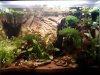 20180305_183249.jpg