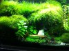 Foto 1.JPG