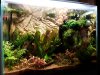 20180407_174646.jpg