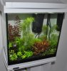 NanoAquarium.JPG