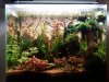 20180416_194817.jpg