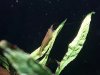 20180510_170448.jpg