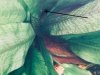 39A1D148-C808-4B90-BC61-ADC26CBDEF63.jpeg