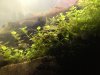 C55F53F5-2E27-4762-B835-AA9363778033.jpeg