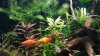 20180624_214214.jpg