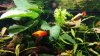 20180624_205937.jpg