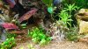 _20180715_203236.JPG