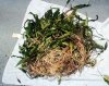 Pflanzen2_270718.jpg