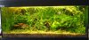 Aquarium240l.JPG