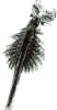 artemia01.gif