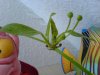 DSC00826test80.JPG