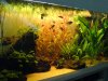 DSC00836test80.JPG