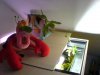 DSC00962test80.JPG