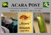 3-2019 - Forum.jpg 3-2019 - Forum.jpg