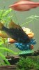 IMG-20190914-WA0011.jpg