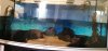 IMG-20191020-WA0003.jpeg