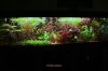 560L.jpg