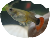 20200325_194647.png 20200325_194647.png