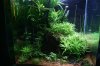 com1200x800Scapingversuch.jpg