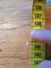 20200507_070427.jpg