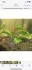 B5FD5A17-9540-459B-AFFD-6073759839F5.png B5FD5A17-9540-459B-AFFD-6073759839F5.png