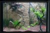 ##TMPCompress##.JPG ##TMPCompress##.JPG