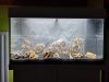 IMG_20200811_204410.jpg