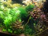 IMG-20200831-WA0001.jpg