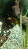 20200904_002422.jpg