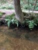 6D97E56F-5723-4E26-9362-B5B05548AFAE.jpeg