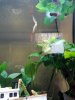 20201022_151828.jpg