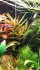 20201024_213951.jpg