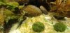 20201026_172356.jpg