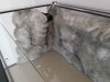 20201107_123145.jpg