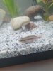 20201109_065258.jpg