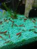 IMG_20201029_113818.jpg