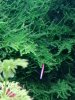 IMG_20201101_152619.jpg