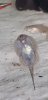 20201122_134514.jpg