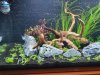 Aquarium 20201128_211943.jpg