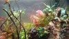 20201130_180858.jpg
