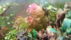 20201130_180923.jpg
