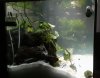 Aquarium 3am 5.12.20.jpg